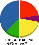 大和田建設 貸借対照表 2012年9月期
