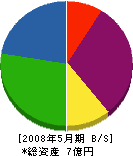 晃永工業 貸借対照表 2008年5月期