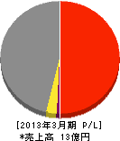長野日本無線サービス 損益計算書 2013年3月期
