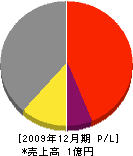 湘南グローバルソリューション 損益計算書 2009年12月期