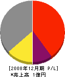 湘南グローバルソリューション 損益計算書 2008年12月期