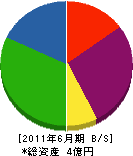 東京冷暖房サービスセンター 貸借対照表 2011年6月期
