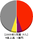 九州鉄工 損益計算書 2009年3月期