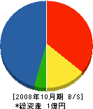 日伸電設 貸借対照表 2008年10月期