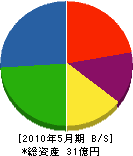 篠田製作所 貸借対照表 2010年5月期