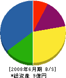 大川内建設 貸借対照表 2008年6月期