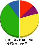 岐阜電話施設 貸借対照表 2012年7月期