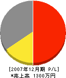 柳澤塗装店 損益計算書 2007年12月期