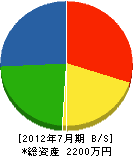 田川栄楽園 貸借対照表 2012年7月期