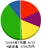 藤井産業 貸借対照表 2009年7月期