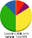 矢野商店 貸借対照表 2008年12月期