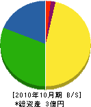 桐山工務店 貸借対照表 2010年10月期