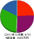 齋藤塗装工業 貸借対照表 2011年12月期