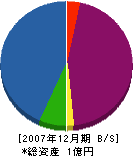 泰成 貸借対照表 2007年12月期