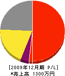 渡辺電設 損益計算書 2009年12月期