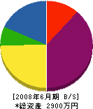藤井組 貸借対照表 2008年6月期