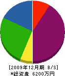 大川鉄工所 貸借対照表 2009年12月期