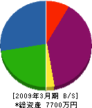 渡辺土建 貸借対照表 2009年3月期