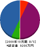 長瀞産業 貸借対照表 2008年10月期