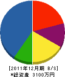 ワカバ電気商会 貸借対照表 2011年12月期