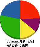 野崎組 貸借対照表 2010年6月期