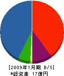 老川工業 貸借対照表 2009年1月期