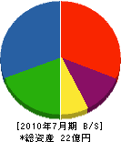 ヤスジマ 貸借対照表 2010年7月期