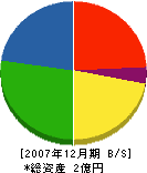 大豊町森林組合 貸借対照表 2007年12月期
