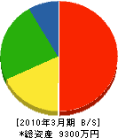 川音運輸 貸借対照表 2010年3月期