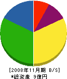 光亜建設 貸借対照表 2008年11月期
