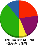 三津谷建設 貸借対照表 2009年12月期