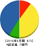 塩田建設 貸借対照表 2010年6月期