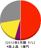 東日本ライテック 損益計算書 2012年6月期