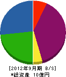 中田建設 貸借対照表 2012年9月期