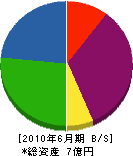 岡田工業所 貸借対照表 2010年6月期