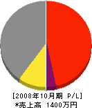 平川建設 損益計算書 2008年10月期