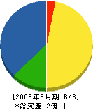 朝日社 貸借対照表 2009年3月期
