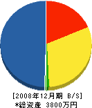 上嶋ガーデン 貸借対照表 2008年12月期