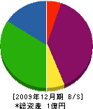 大花電気商店 貸借対照表 2009年12月期