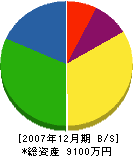 帖佐石材店 貸借対照表 2007年12月期