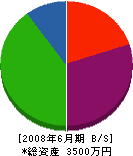 木村ブロック 貸借対照表 2008年6月期