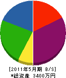 長澤造園 貸借対照表 2011年5月期