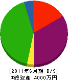 川島水道商会 貸借対照表 2011年6月期