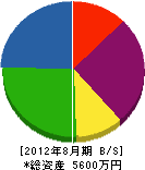 安田塗装 貸借対照表 2012年8月期