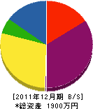 神﨑営繕 貸借対照表 2011年12月期