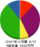 石田建設 貸借対照表 2007年12月期