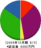 ミッション 貸借対照表 2009年10月期