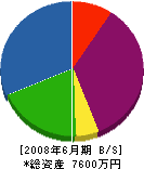 小松建設工業 貸借対照表 2008年6月期