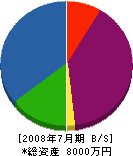 寺田土建 貸借対照表 2008年7月期