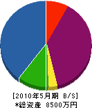 アクス京都 貸借対照表 2010年5月期